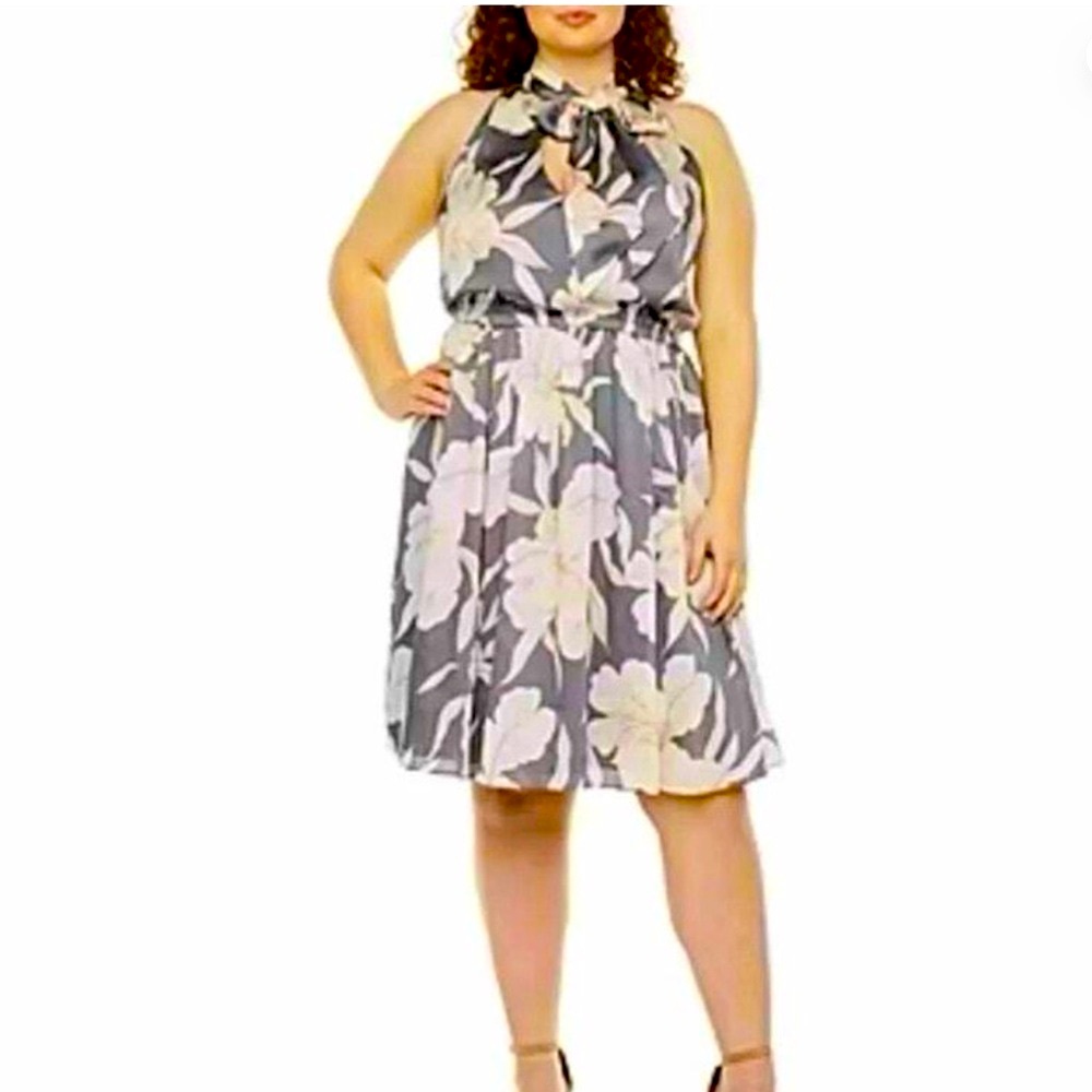 NWT Ryegrass size 2X dress